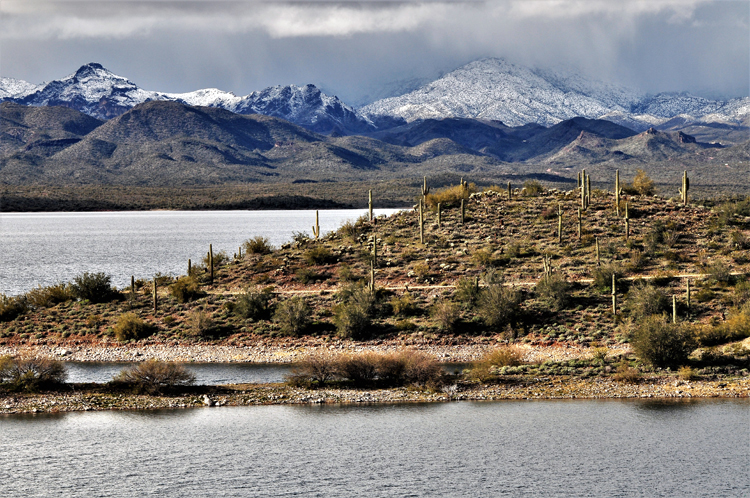 snow-capped mtns